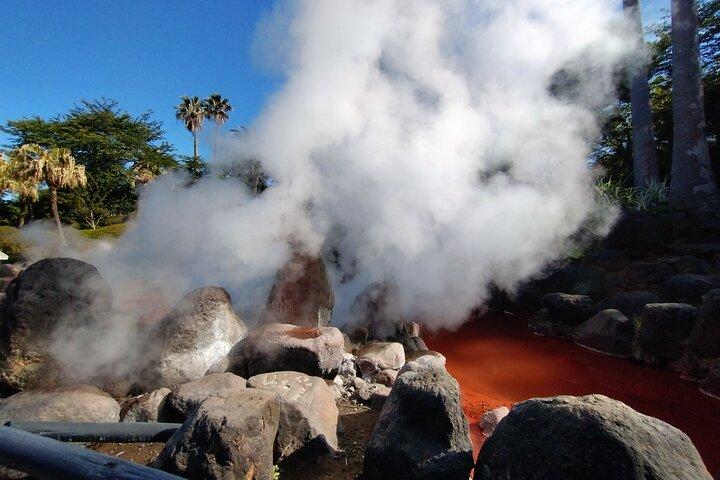 Private Beppu Hell Sightseeing Tour by Car