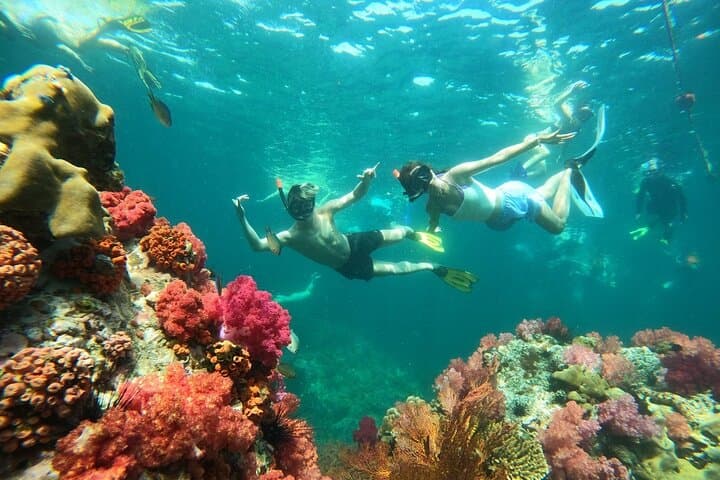 Koh Lipe 4 Islands Snorkeling and Sunset by Longtail Boat