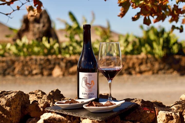 Fuerteventura: Wine Tasting and El Cotillo Afternoon Escape