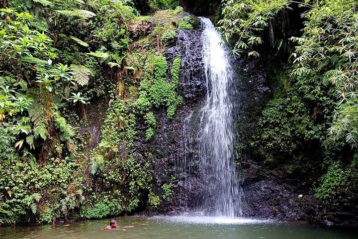 Tour to discover the lush North and waterfalls