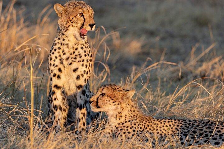 5 Day Explore Zimbabwe Zambia and Namibian Island Luxury Safari