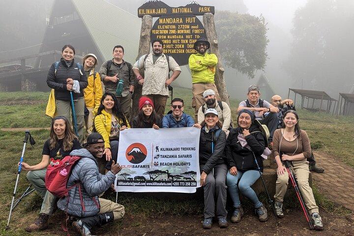Kilimanjaro one day hike experience