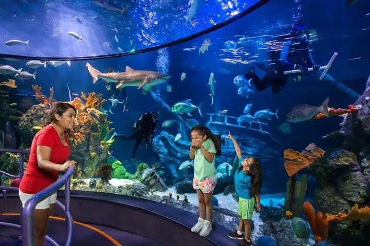 Moody Gardens One Day Value Pass