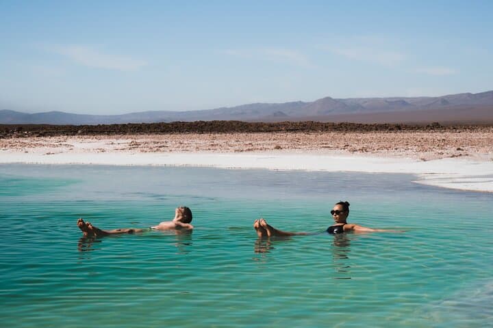 Hidden lagoons of Baltinache | Fleet in saline waters