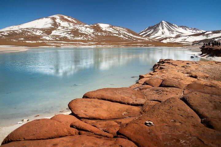 Full Day Tour to Piedras Rojas, Altiplanic Lagoons and Chaxa