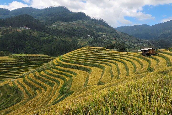 2 Day Mu Cang Chai Trekking Adventure