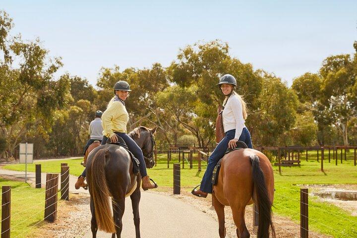 Romantic Vineyard Horse Riding and Picnic