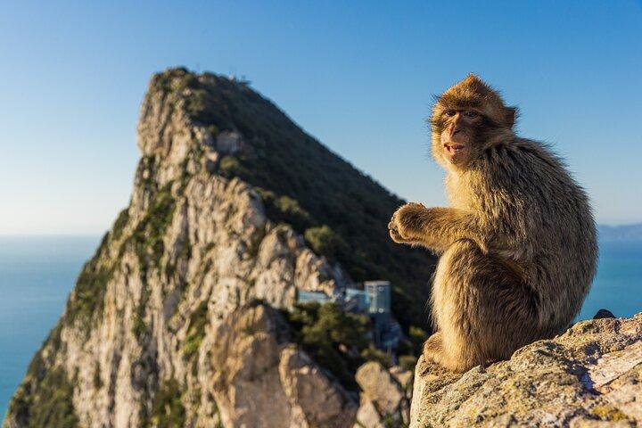 Gibraltar a tu aire,directo, con full assistance