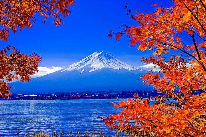 Mt Fuji Full Day Private Tour from Tokyo with English Driver