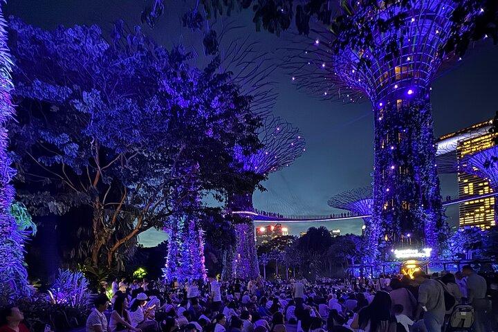 Singapore River Cruise, Night Garden Rhapsody and Spectra Tour