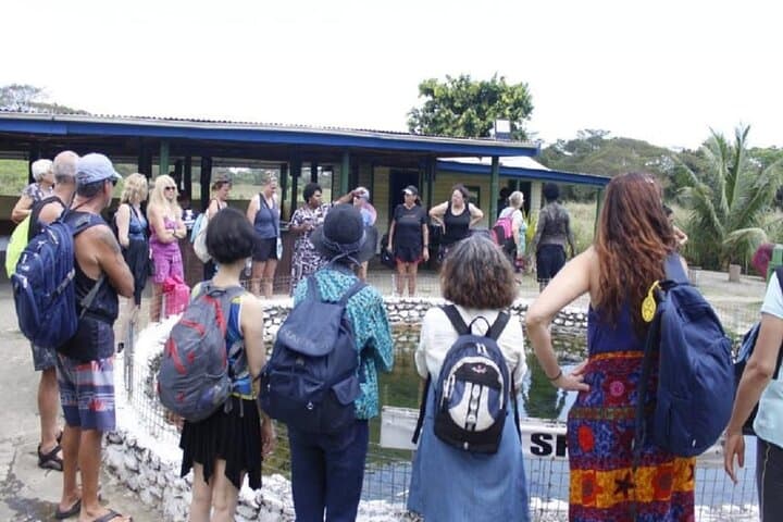 FIJI: Official Sabeto Hotspring and Mudpool Tour