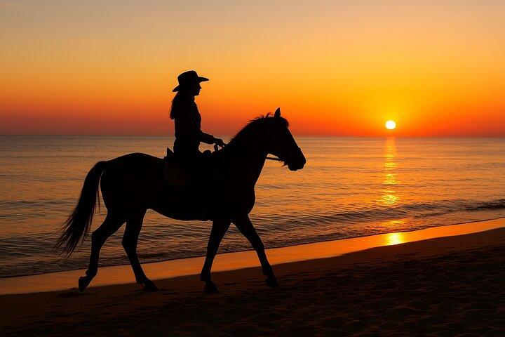 Horse Riding in Hurghada Desert and Sea Swimming Flexible Program