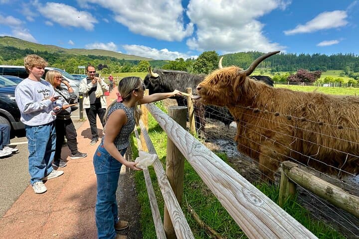 Private Shore Excursion-Castles, Highland Coos and Whisky Tasting