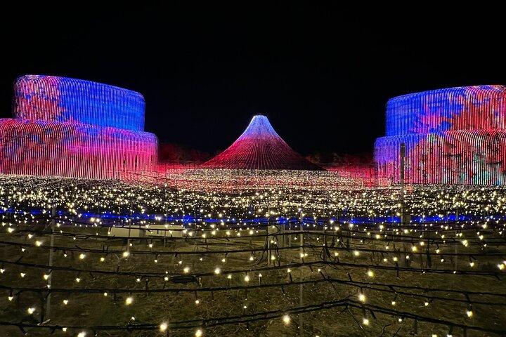 Nagoya : Private Nabana no Sato Tour : Illuminations & Shopping
