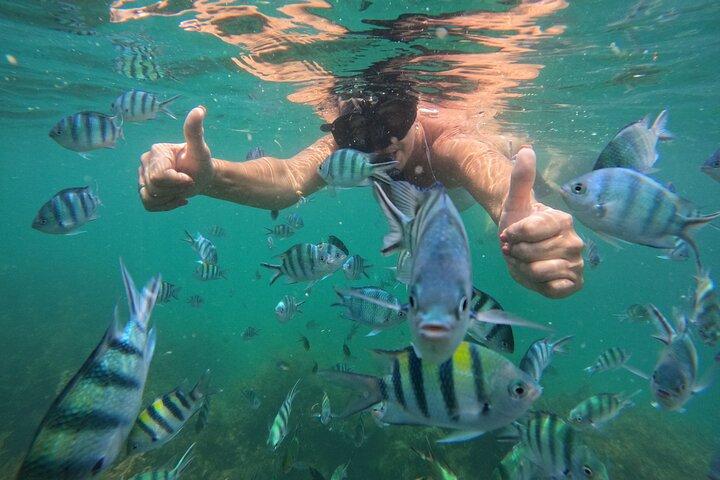 Bintan Fun Exprience Snorkeling and Kayaking