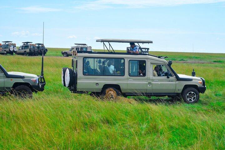 3 Days Masai Mara Budget Private Safari