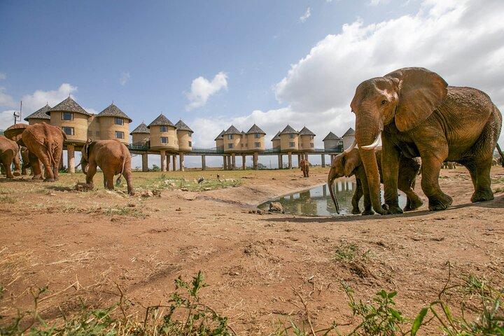 3 Days Tsavo East and Saltlick Lodge Safari from Diani Mombasa