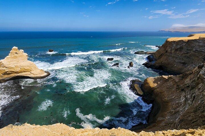Paracas Coastal Wonder: Private Shore Tour from Pisco Cruise Port