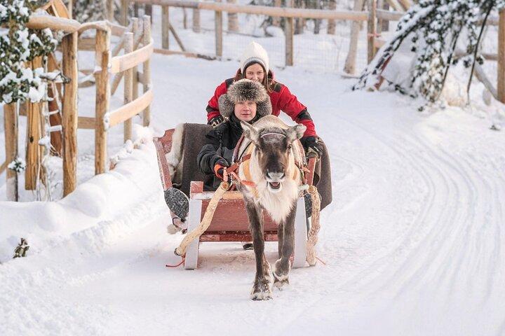 Rovaniemi: Reindeer Safari & Sled Ride with Sámi Heritage