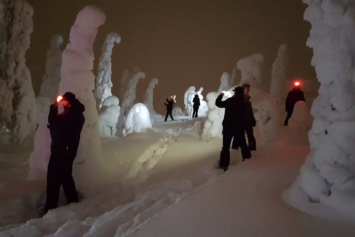 Arctic Night Snowshoeing near Ruka - Stars and Northern Sky