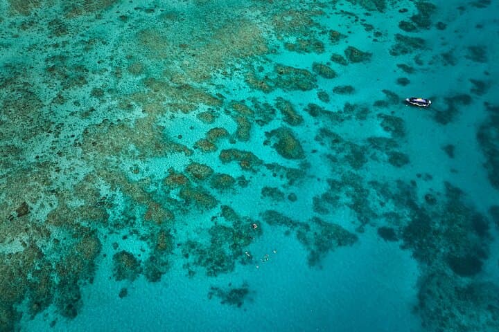 Cairns Great Barrier Reef Snorkel and Flight Adventure