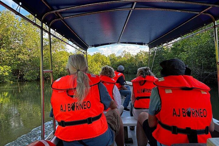 Kuching Mangrove Wildlife and Fireflies (Private Tour)