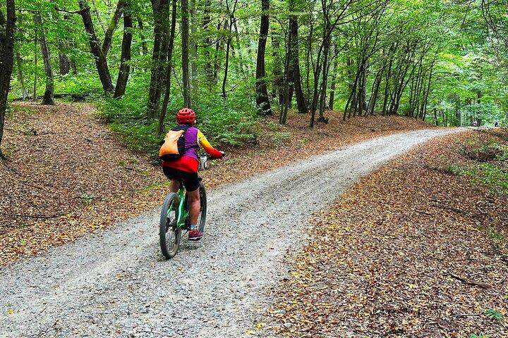Maramures Crafts and Cycling Holiday 6 Day Cultural Bike Tour