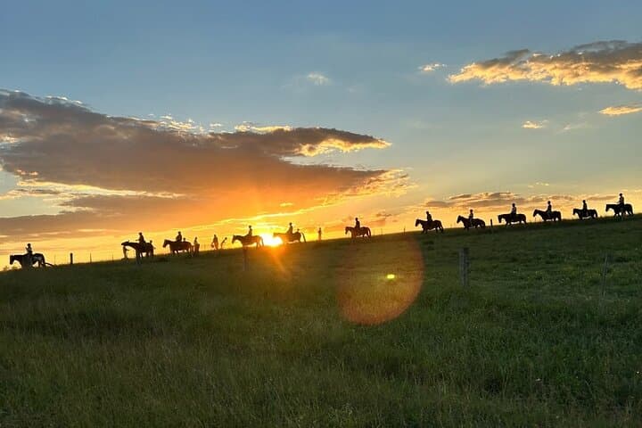 Hunter Valley Sunset Horse Ride - 90 Minutes