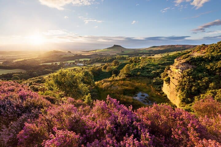 Yorkshire Moors and Whitby Small Group Day Tour from York