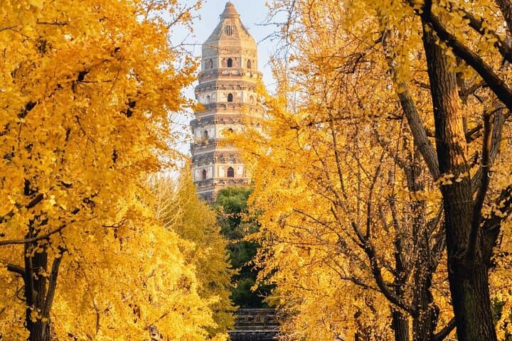 Suzhou Customized Day Trip Private Car with Lunch and Local food