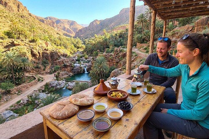 Paradise Valley excursion with botanical garden + Berber breakfast