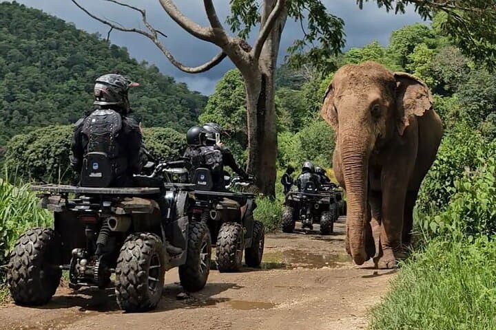 Sticky Waterfall ATV and Zipline Guided Adventures