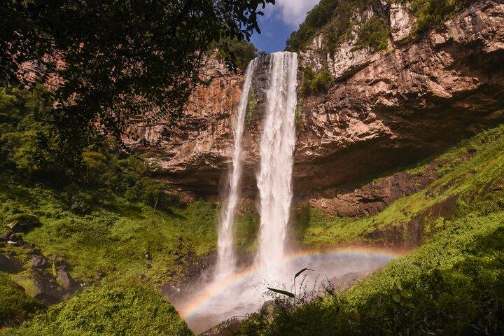 Foot of the Cascade Bate and Return 10h00