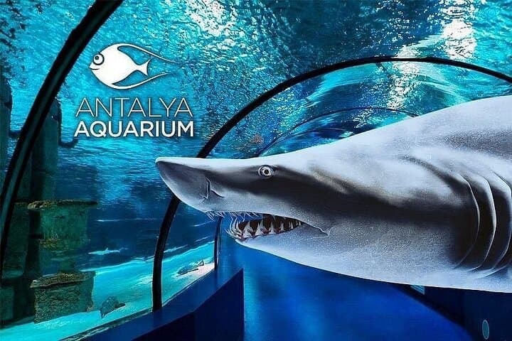 Private Antalya Aquarium & Fun Park from Side | All Inclusive