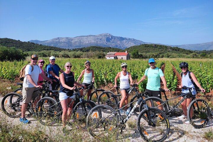 Korcula Bike & Wine Tour | Wine Tasting in Lumbarda