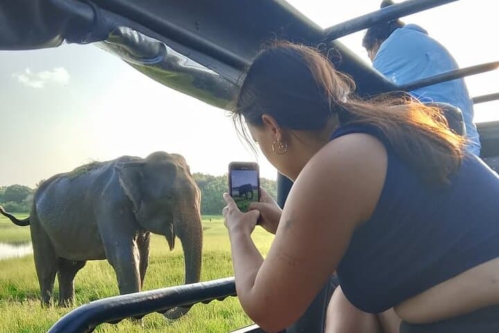 Minneriya National Park Elephant Jeep Safari Private Tour