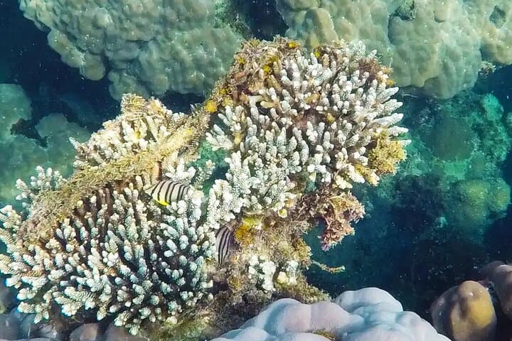 Discovery Phu quoc Trip with 2 Island by Boat
