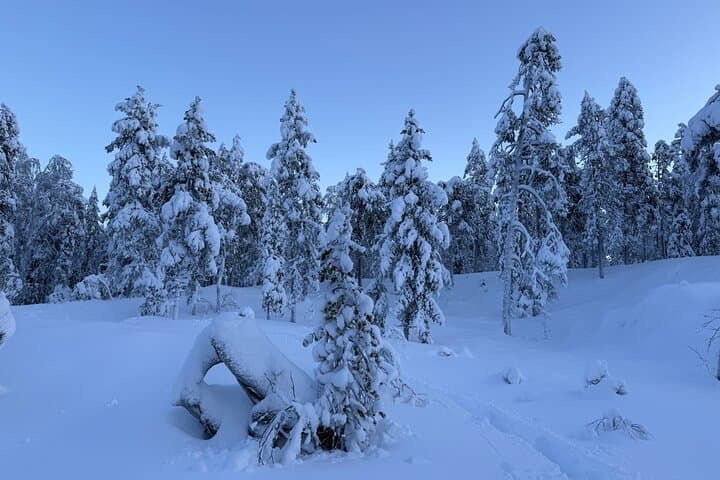 Private Snowshoeing Tour In Luosto With Outdoor Meal