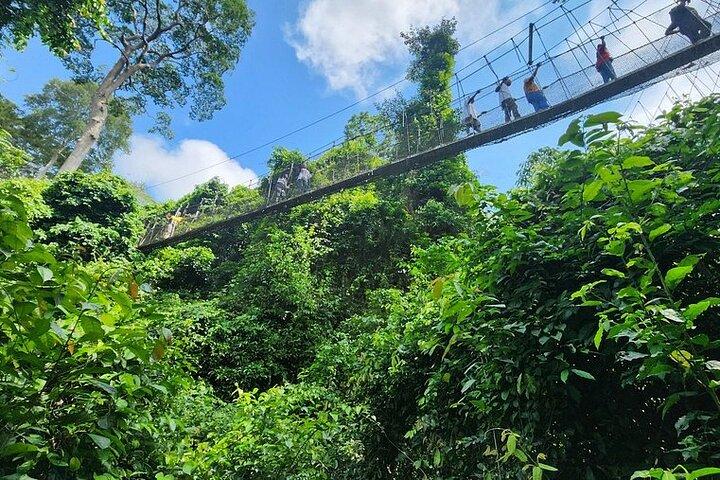 Explore Coastal Castles and Kakum National Park in Ghana