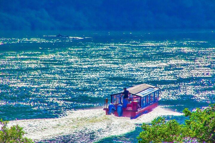 Sakata Cultural and Scenic Tour with Mogami River Cruise by Car