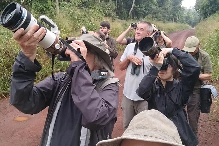 Iguazú Birdwatching Tours Explore Argentina's Birds and Nature