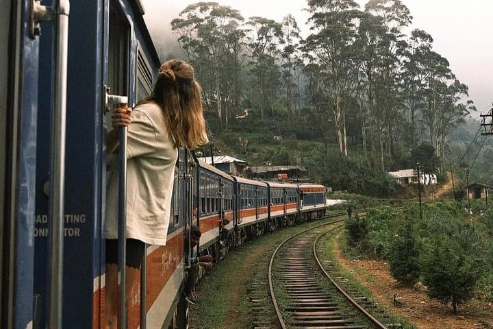Ella to Nanuoya Scenic Train Journey with Reserved Seats Ticket