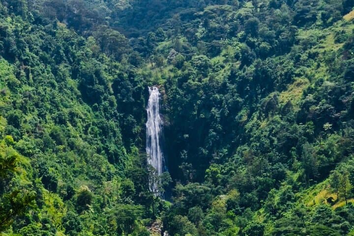 Moshi - Arusha: Materuni Waterfalls Hike and Organic Coffee Tour