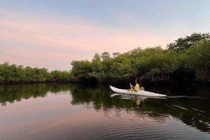 Discover Barra de Potosí