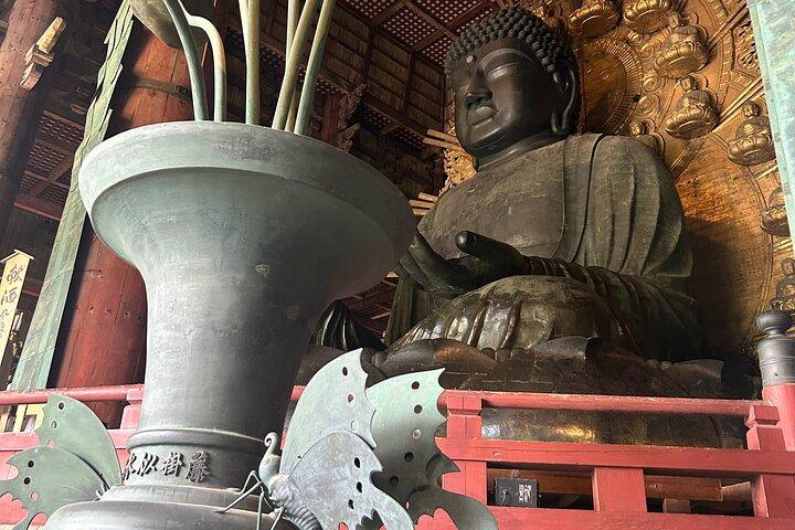 Nara Deer, Great Buddha & Traditional Mochi Experience
