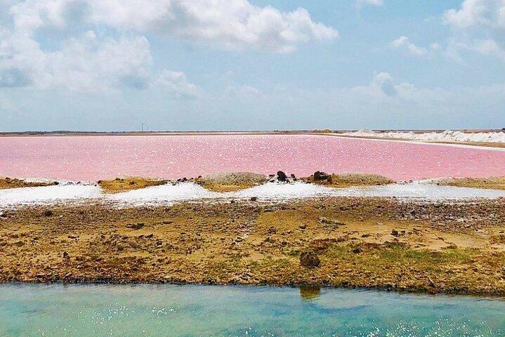 Bonaire Landscapes and Historical Shared Guided Tour