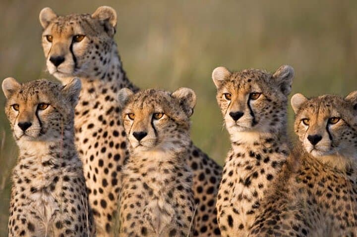 Overnight Tour Experience to Tsavo East National Park