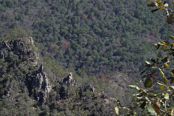 Route to the Peñas Cuatas Science Forest and Adventure