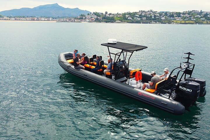 Discover the essentials of the Basque coast by boat