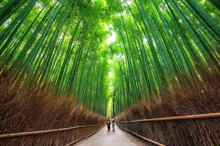 Departure from the port: Private car tour within Kyoto city